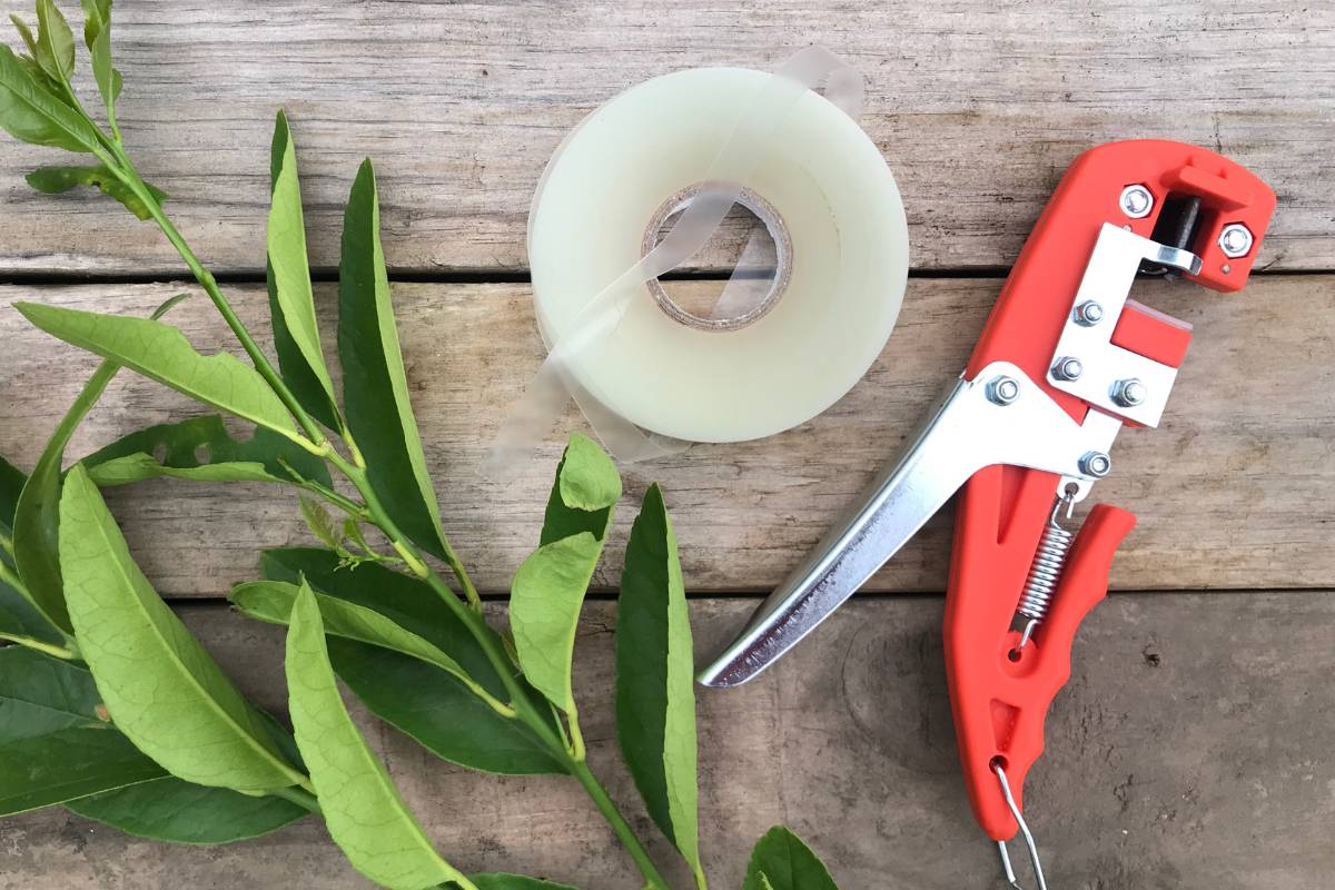 Grafting Made Easy Hand Held Grafting Tools The Seed Collection